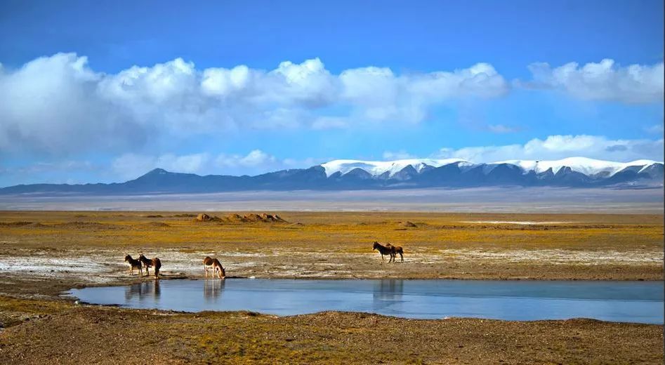成都自驾西藏旅游的路线_成都到西藏自驾旅游攻略_成都自驾西藏攻略及费用